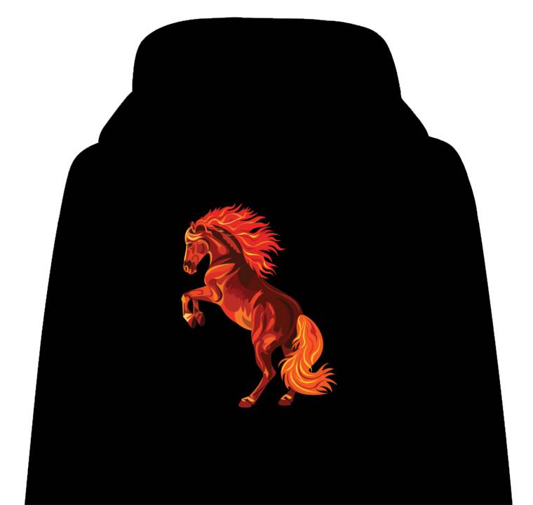 Толстовки, худи детские The Fiery Horse
