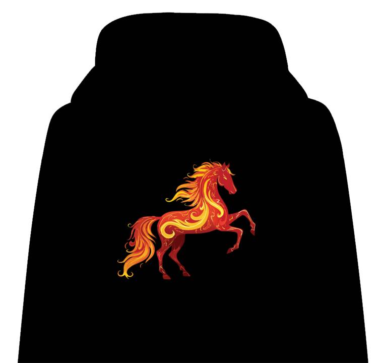 Толстовки, худи детские Horse flame patterns