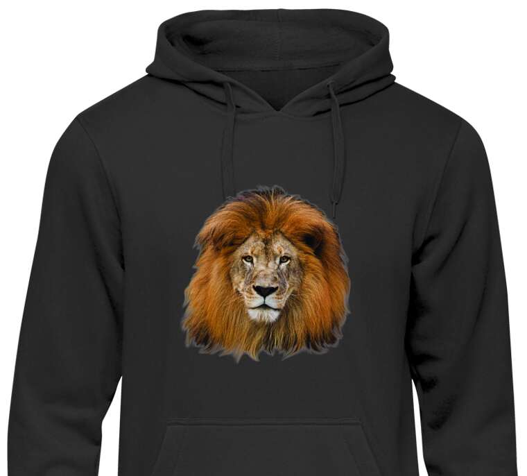 Hoodies, hoodies 3D lion