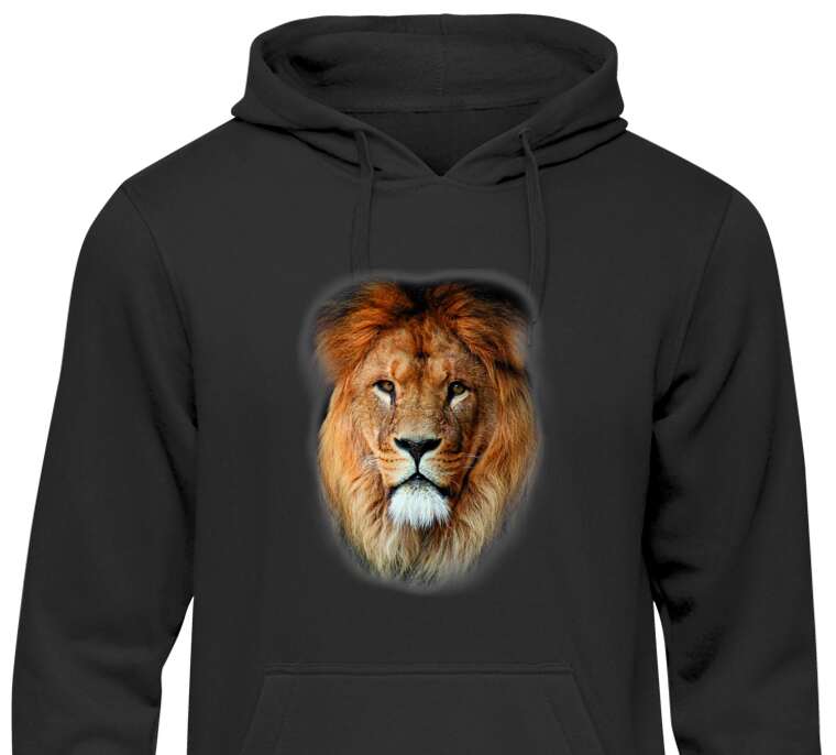 Hoodies, hoodies Lion 3D