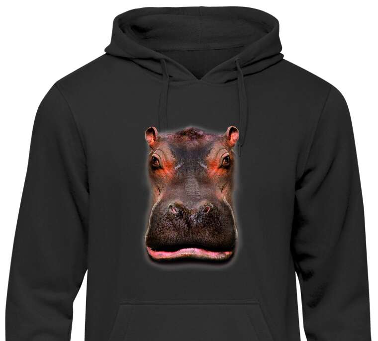Hoodies, hoodies Hippo 3D