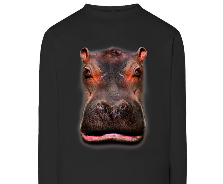 Лонгсливы Hippo 3D