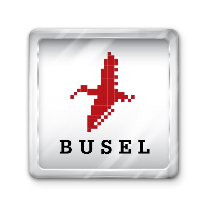 Магниты с фото, логотипом Busel.