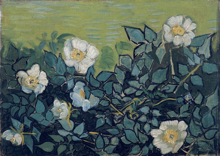Репродукции картин Vincent Van Gogh Wild Roses