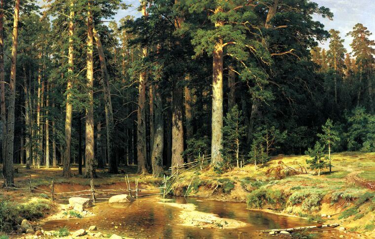 Репродукции картин Ivan Shishkin mast-tree grove
