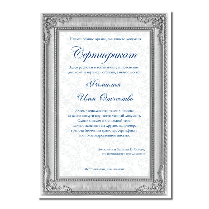 Сертификаты In silver frame