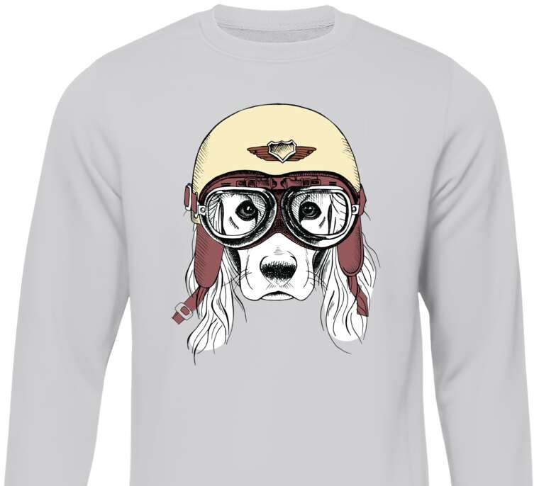 Sweatshirts Dog in a helmet
