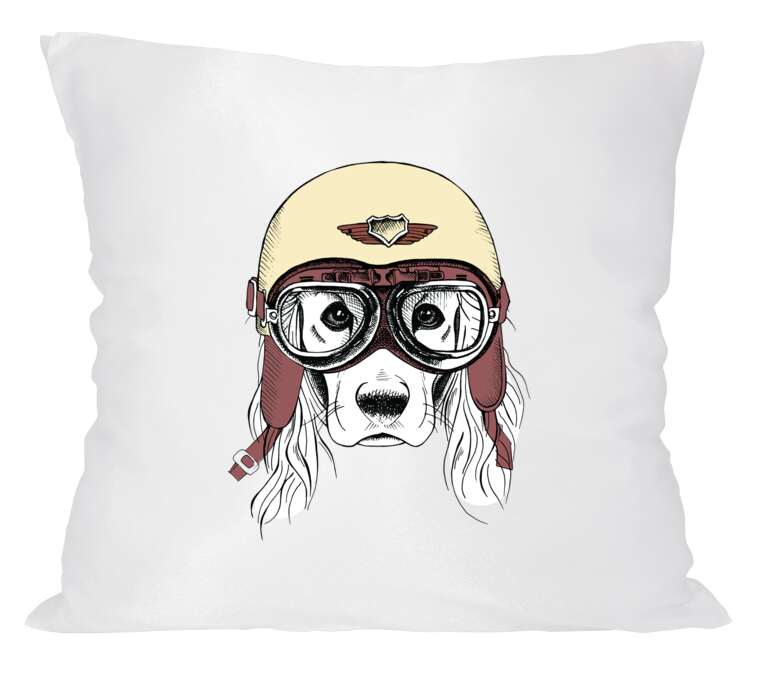 Pillows Dog in a helmet