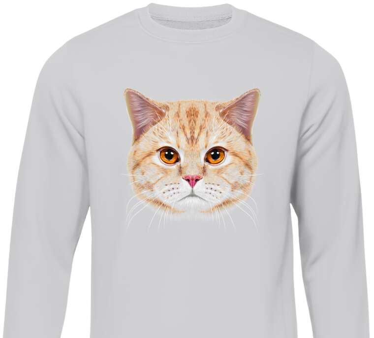 Sweatshirts Red Cat