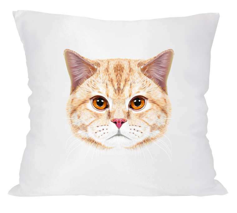 Pillow Red Cat