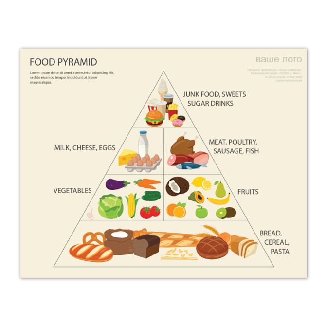 Школьные, образовательные проекты Food pyramid
