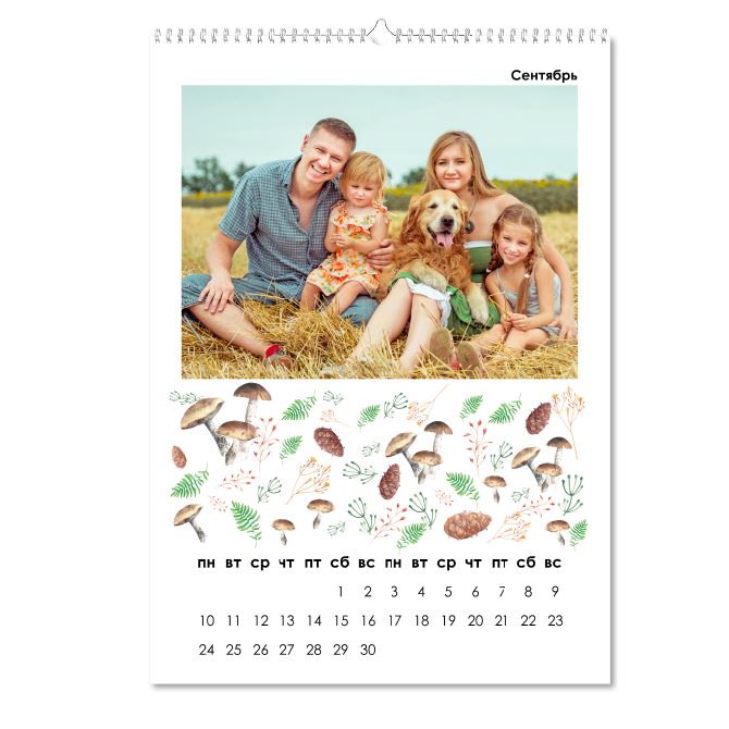 Календари перекидные Краски года с фото