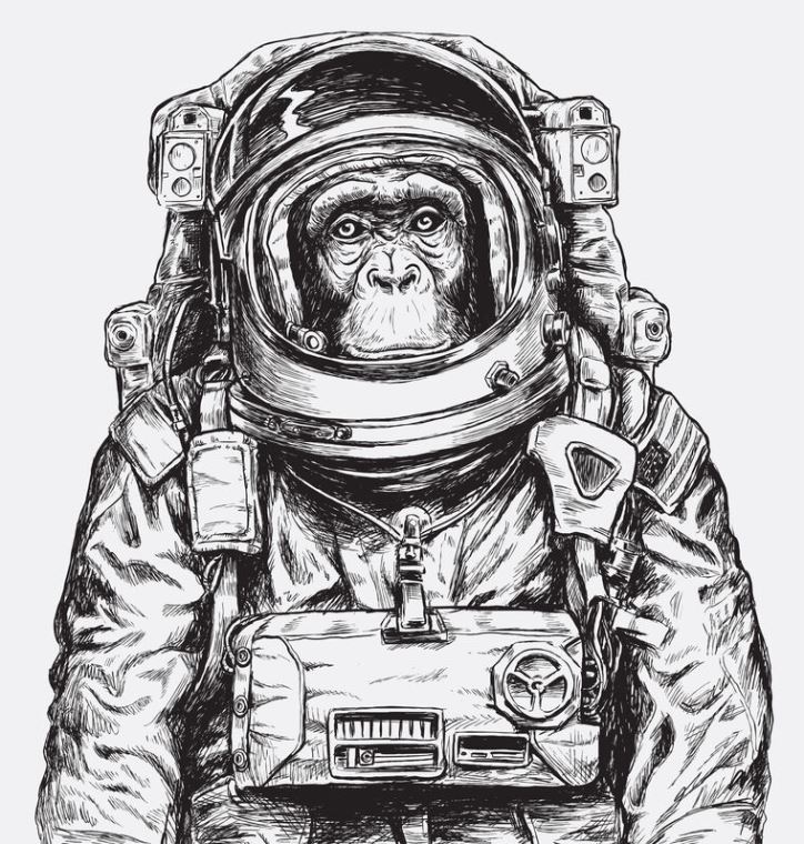 Купить и печать на заказ Репродукции картин Шимпанзе-космонавт