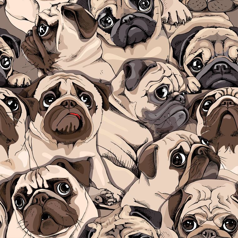 Reproduction paintings Pugs