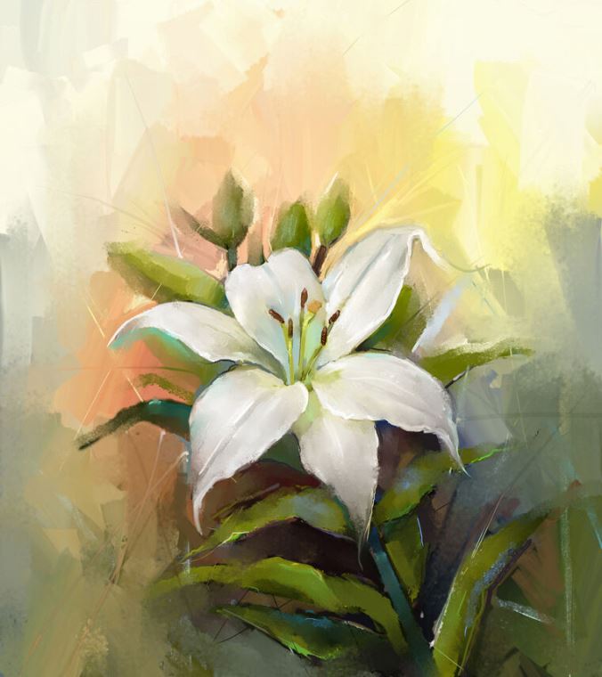 Paintings Delicate Lily