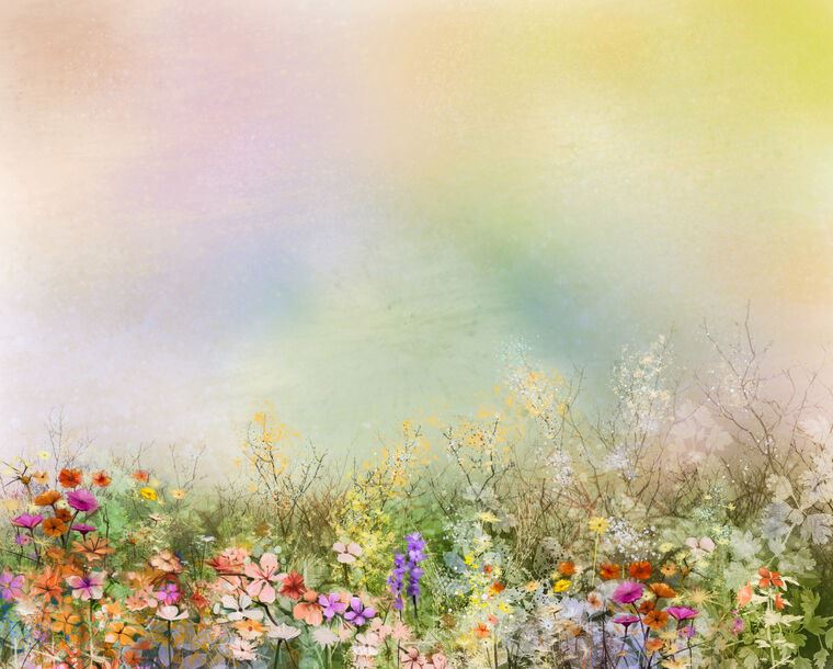 Купить и печать на заказ Картины Нежные цветы на разноцветном фоне