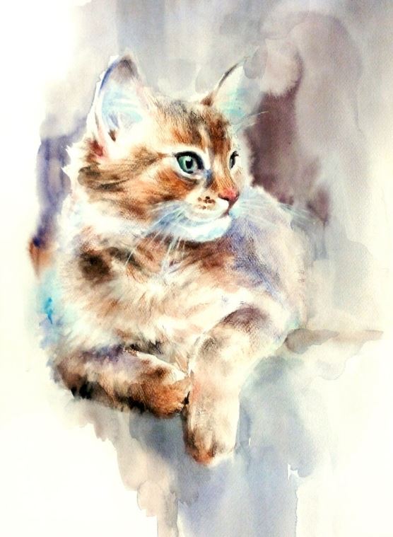 Картины Cat watercolor