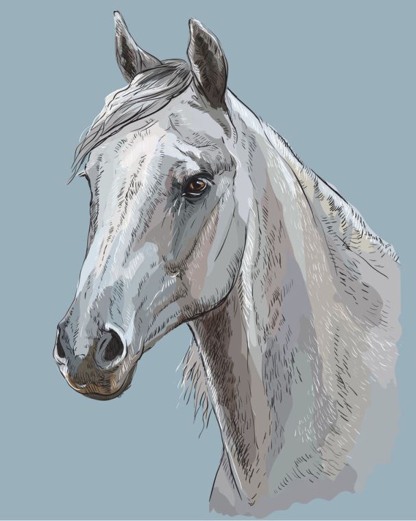 Купить и печать на заказ Картины Лошадь цифровая иллюстрация