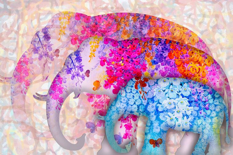 Paintings Colored elephants