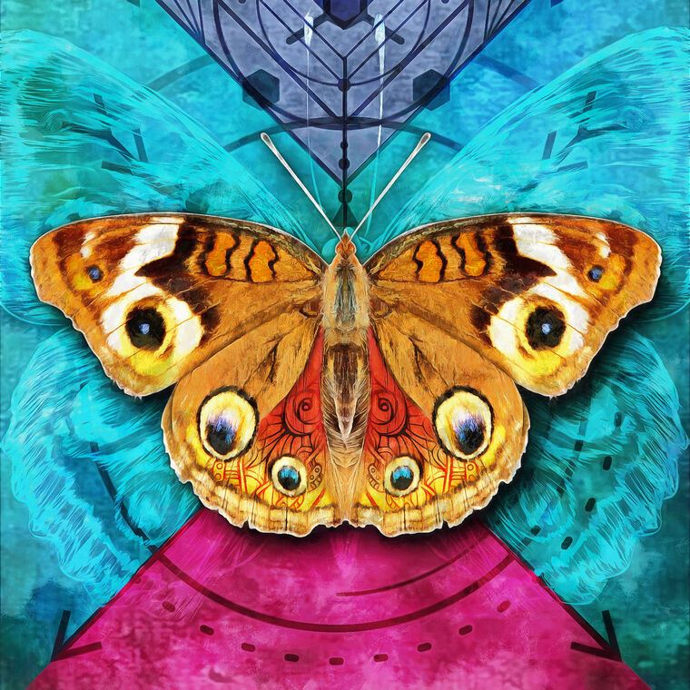 Купить и печать на заказ Репродукции картин Бабочка на ярком фоне