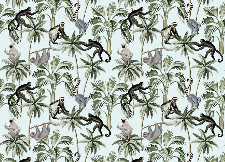 Photo Wallpapers Monkeys in the trees