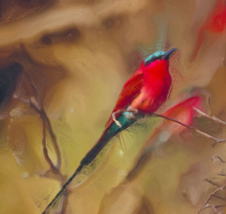 Paintings Red bird