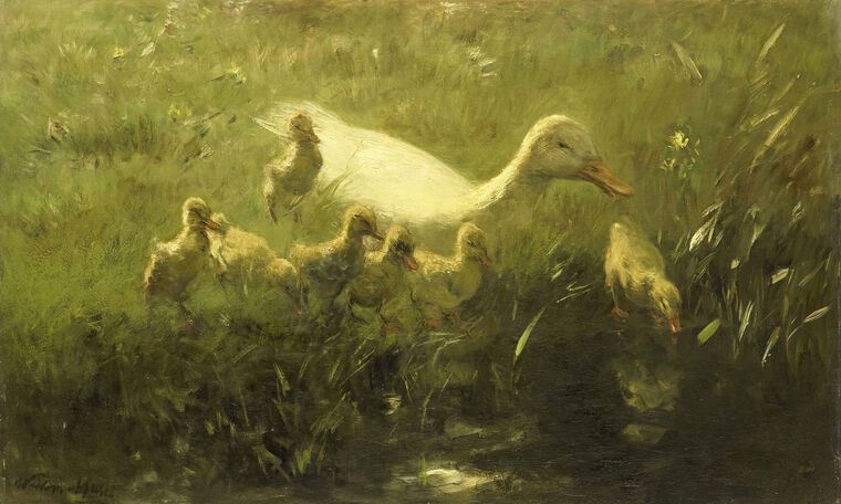 Купить и печать на заказ Репродукции картин Белая утка с семью птенцами (Виллем Марис)