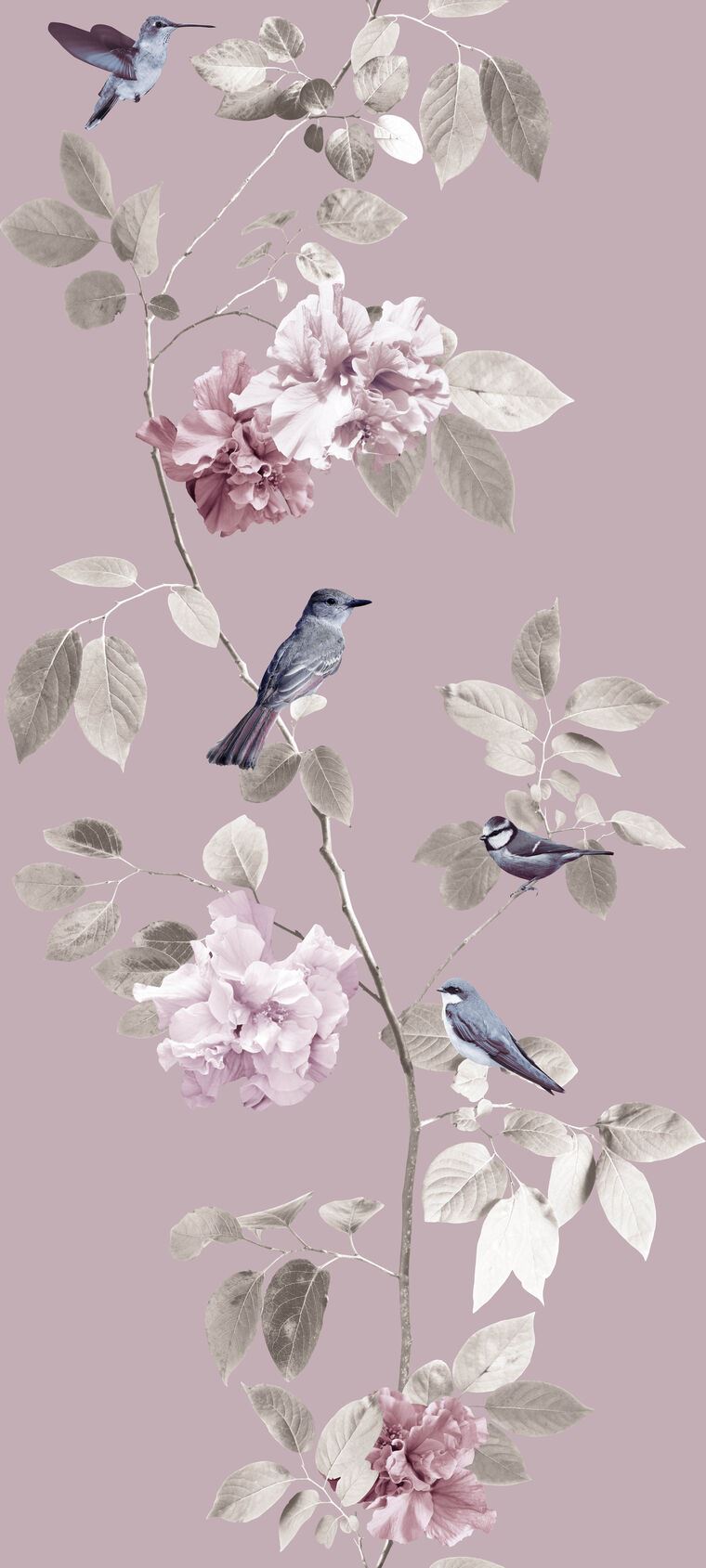 Фотообои Цветы и птицы