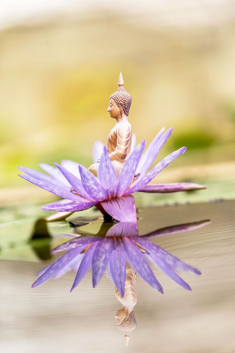 Фотообои Будда в цветке