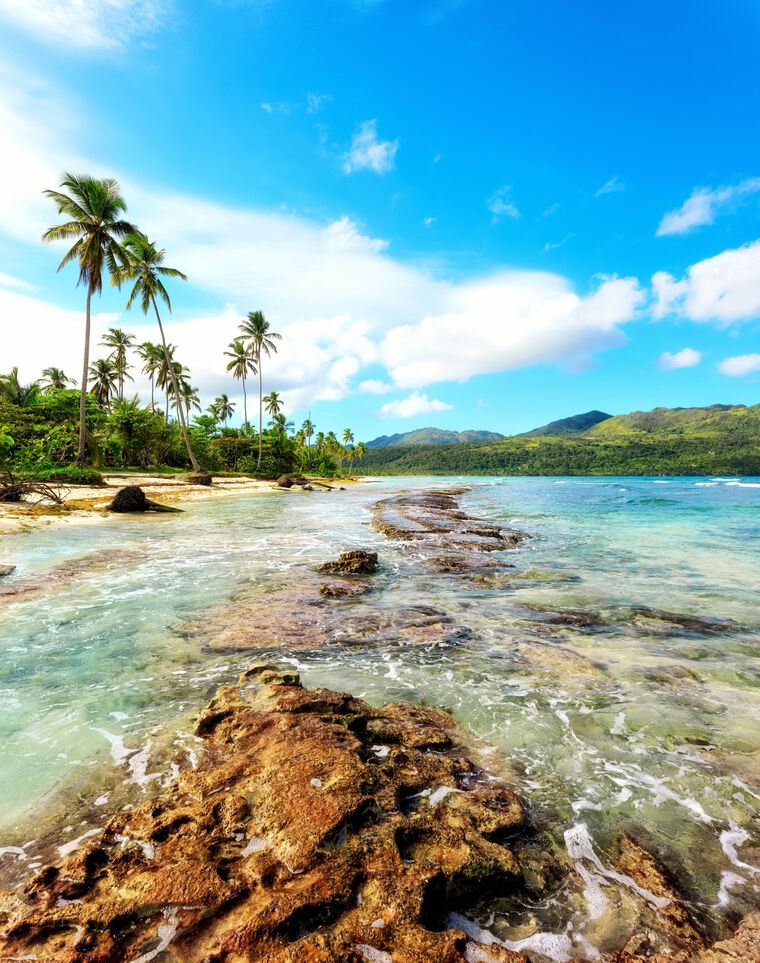 Photo Wallpapers Beach with palm trees