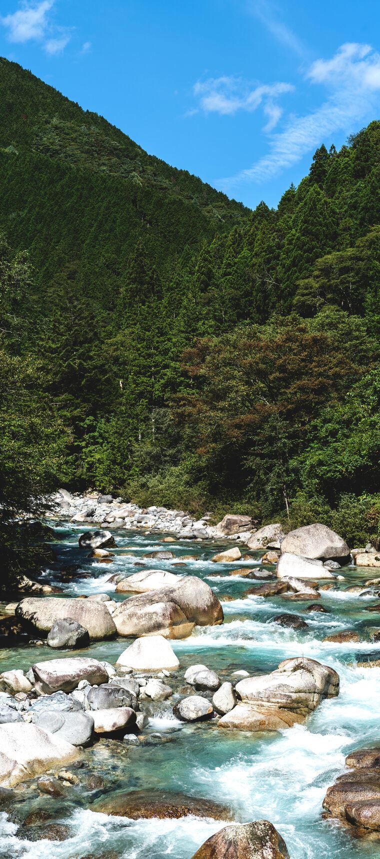 Фотообои Река в горном лесу
