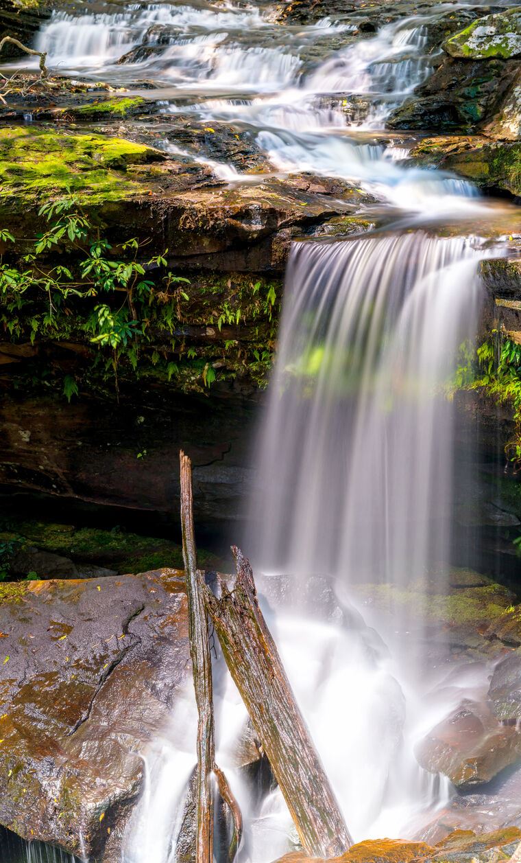 Фотообои Waterfall in the forest