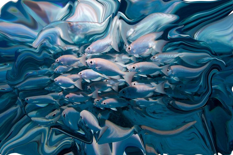 Фотообои Серебрянные рыбки в стиле сюрреализм