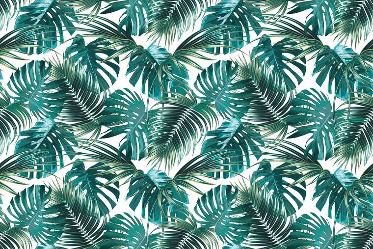 Фотообои The emerald leaves of the tropical palm trees