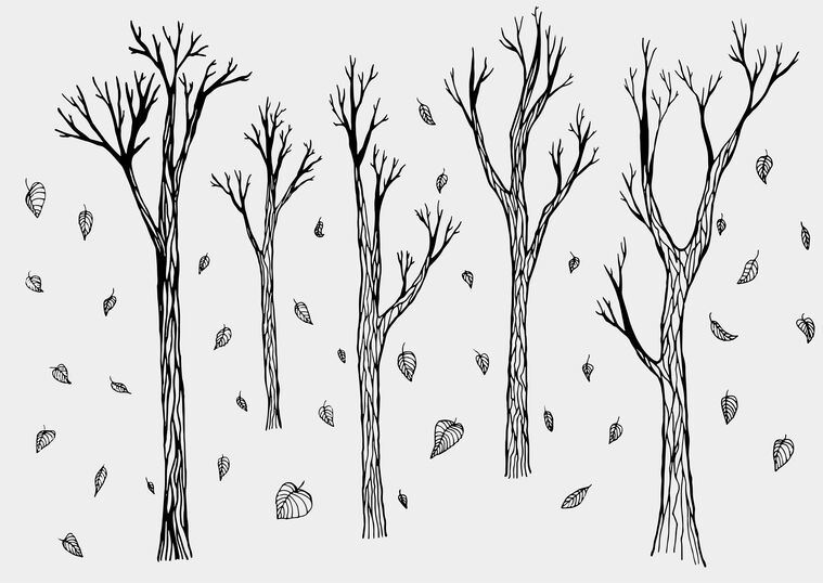 Фотообои Рисованные деревья и листья