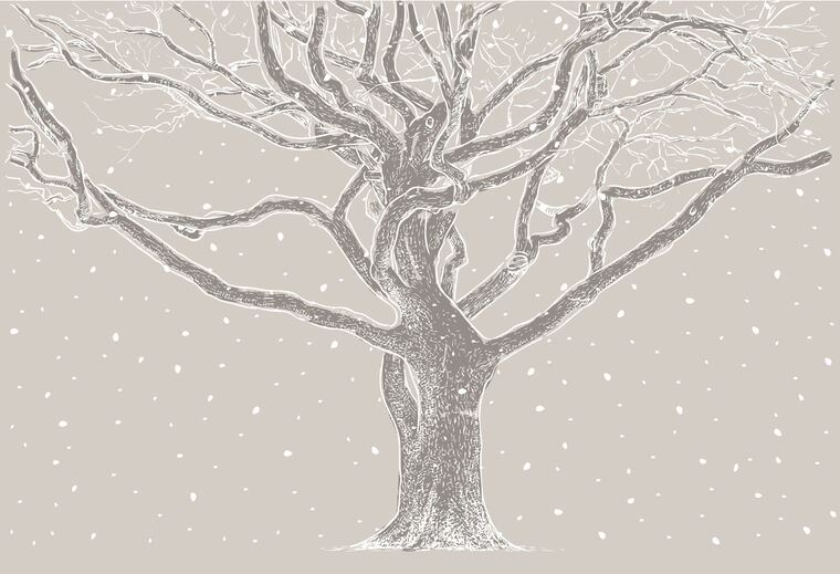 Фотообои Графика зимнее дерево