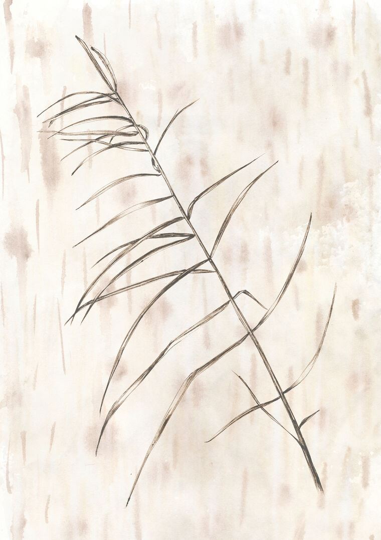 Фотообои Графика пальмовый лист на бежевом фоне