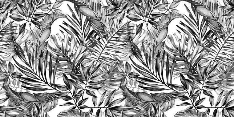 Фотообои A black and white picture of palm leaves