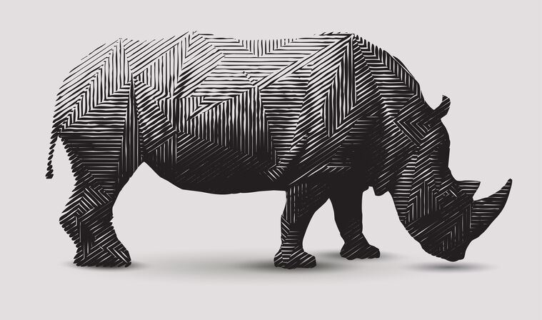 Reproduction paintings Rhino and geometric pattern