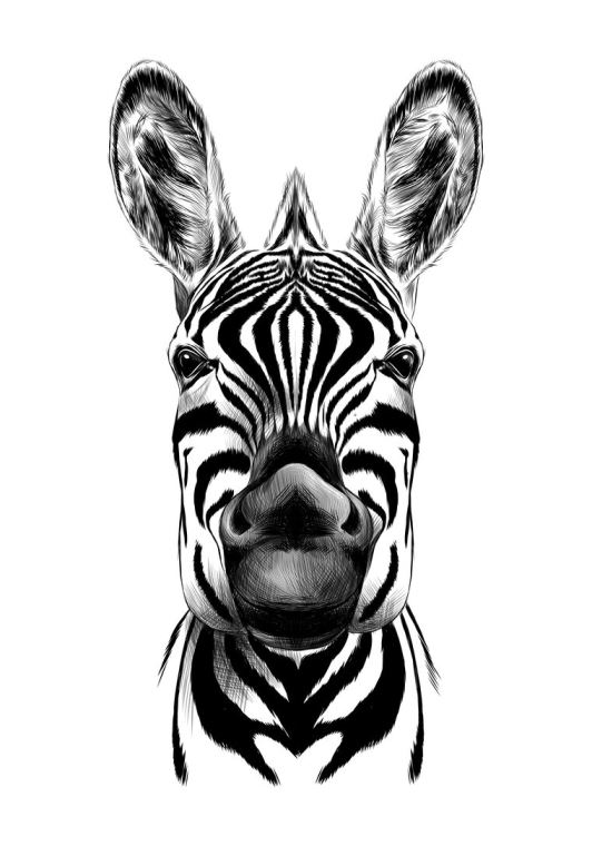 Reproduction paintings Art Zebra graphics