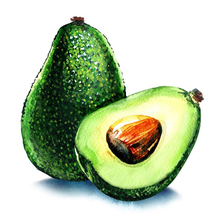 Репродукции картин Avocado