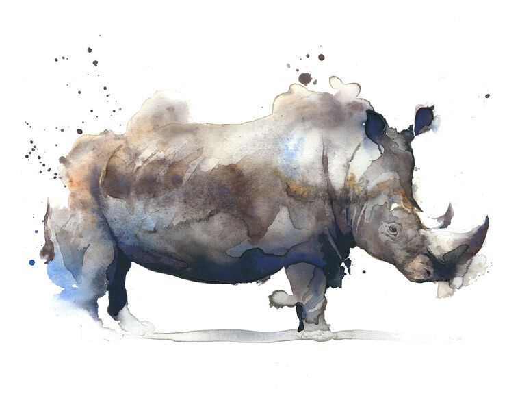 Купить и печать на заказ Репродукции картин Акварельный носорог