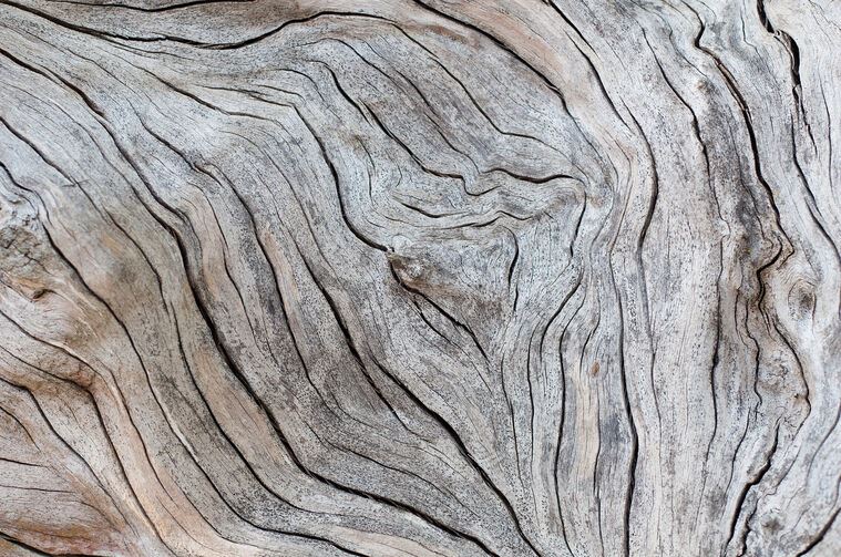 Репродукции картин Texture of old wood