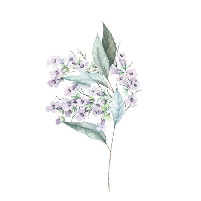 Картины A series of delicate watercolor floral стиль_3