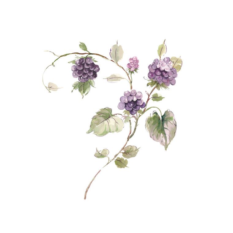 Картины A series of delicate watercolor floral стиль_7