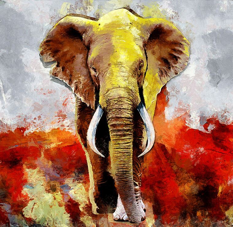 Reproduction paintings African elephant