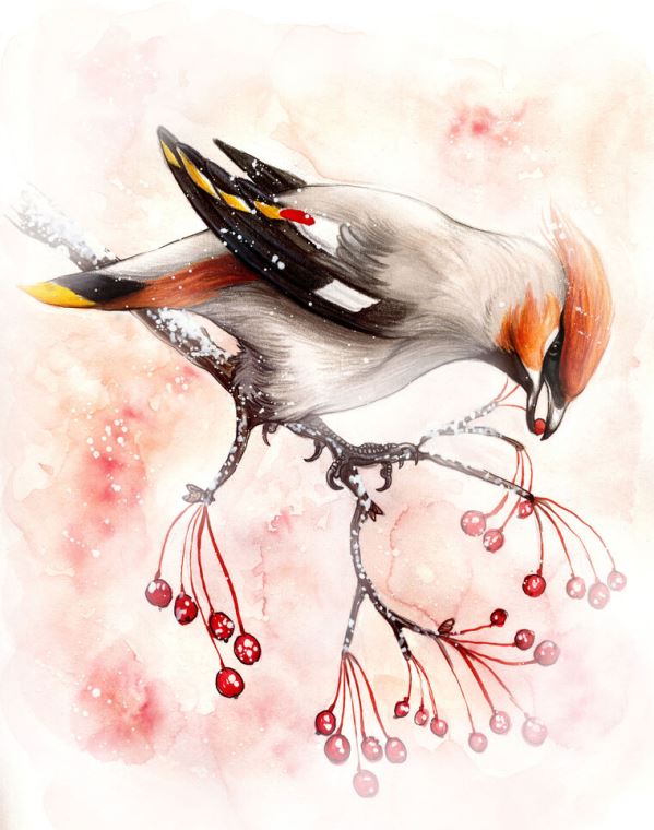 Купить и печать на заказ Репродукции картин Рисунок птицы с ягодами