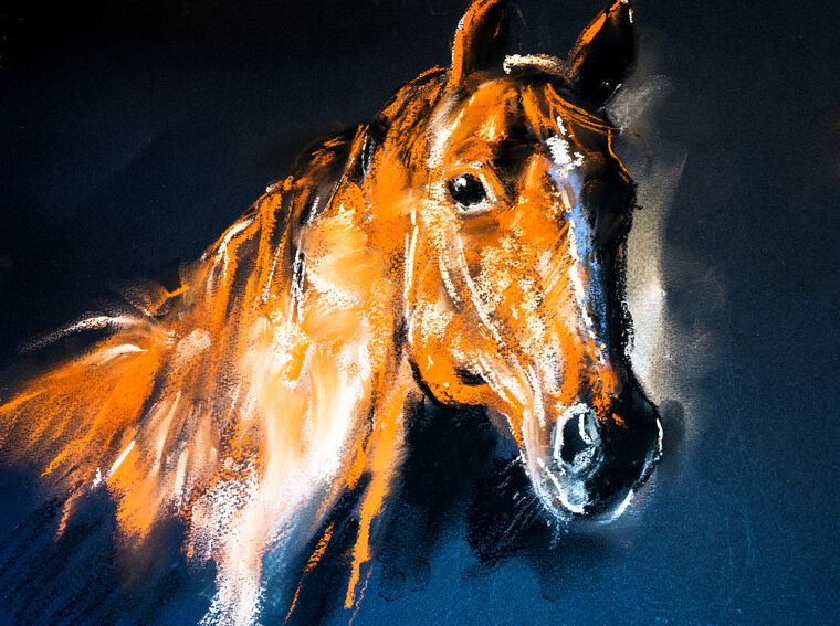 Купить и печать на заказ Репродукции картин Лошадь рисунок пастелью