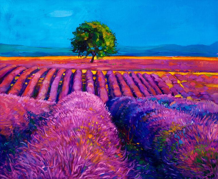 Картины Lavender field