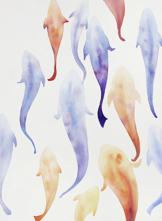 Reproduction paintings Watercolor fish on white background